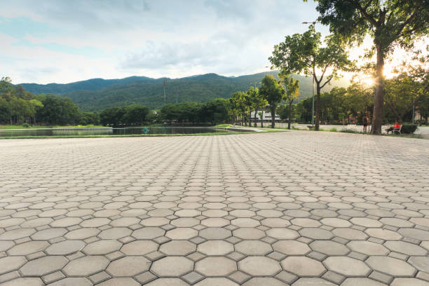 Best Decorative Driveway Paving in Fanning Springs, FL